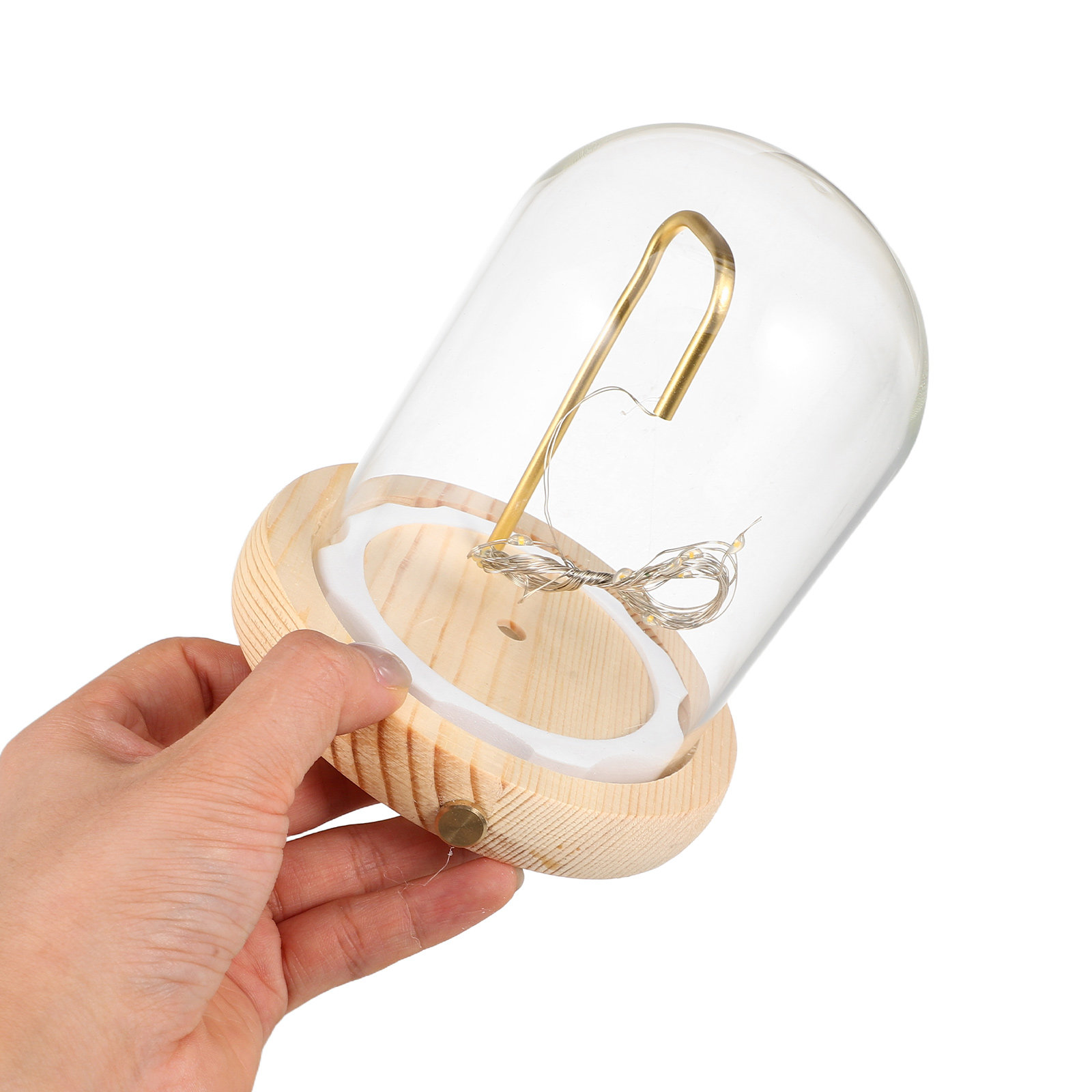 Glass Cloche Display Dome with - Office Lighting Decor 评论和价格