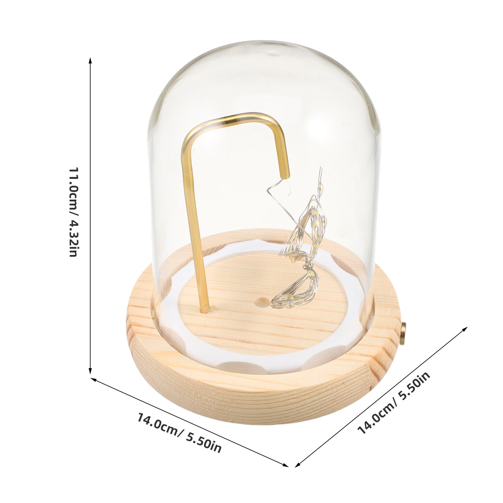 Glass Cloche Display Dome with - Office Lighting Decor 评论和价格