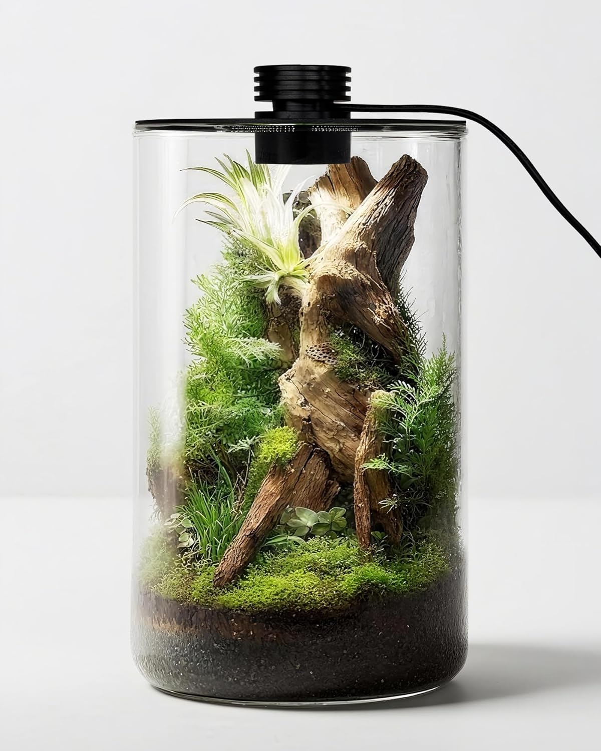 Indoor Glass Terrarium with Gr - Office Lighting Decor 评论和价格