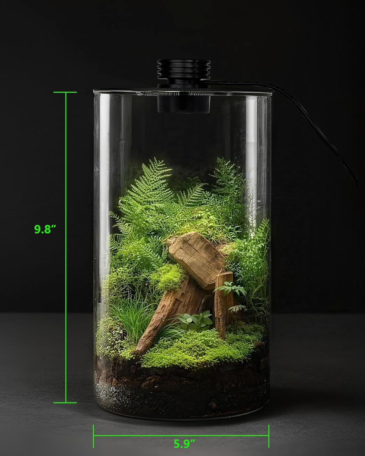 Indoor Glass Terrarium with Gr - Office Lighting Decor 评论和价格