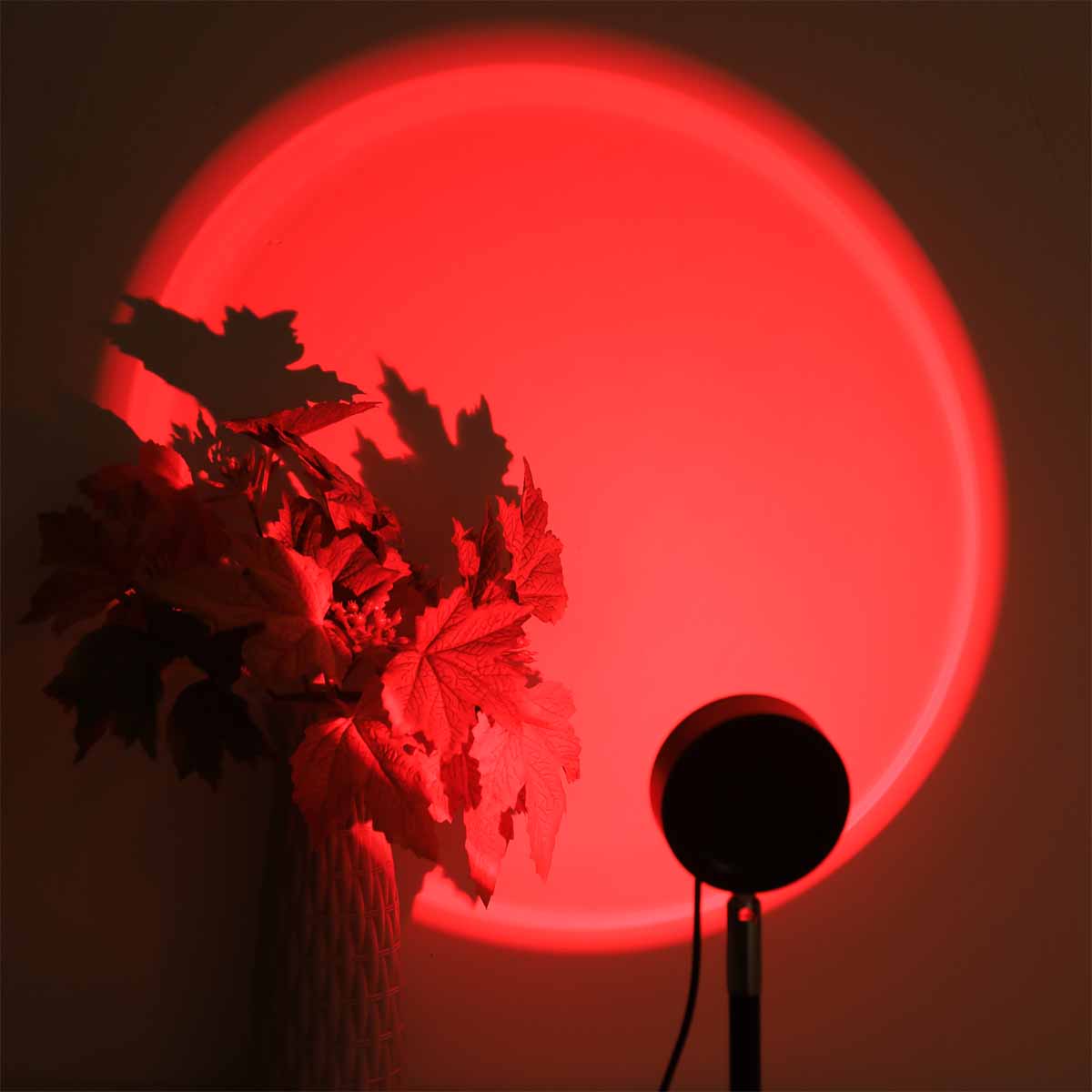 Sunset Projection Light Remote - Sunset Lamp Projection 评论和价格